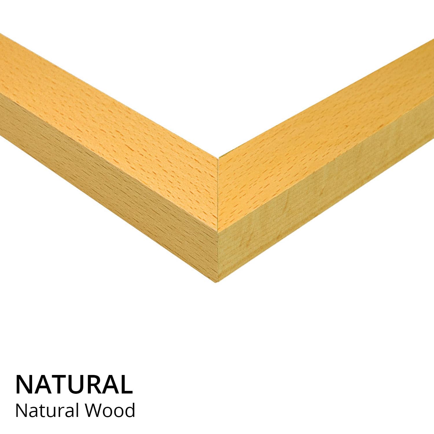 iCanvas "Church Rock, Red Rock State Park, New Mexico" by Tim